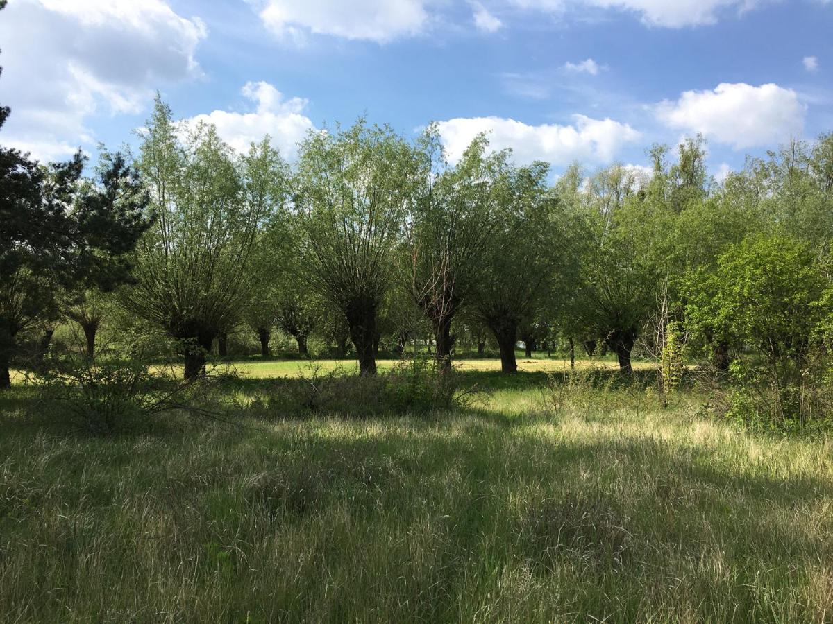 Agroturystyka Kobylnica Nad Wisla Eksteriør billede