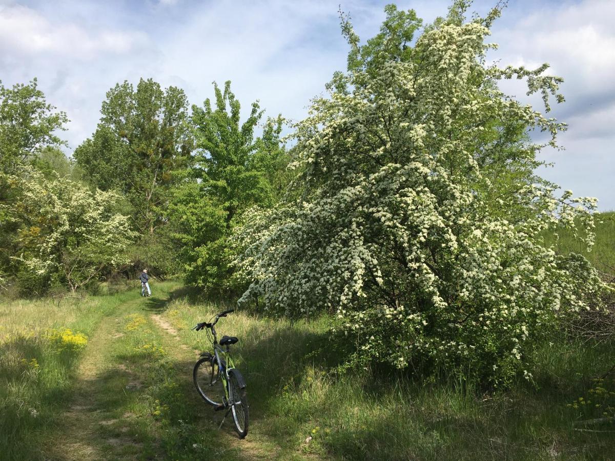 Agroturystyka Kobylnica Nad Wisla Eksteriør billede