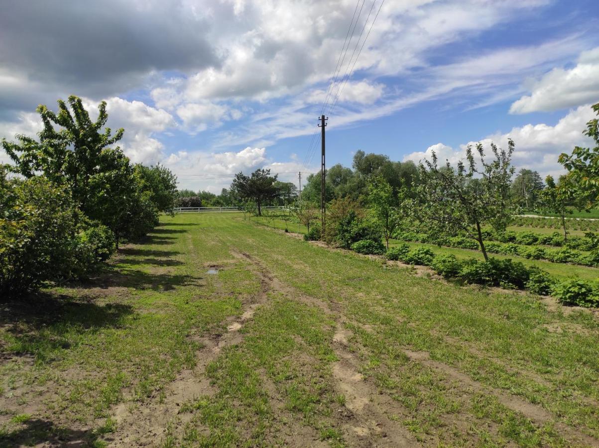 Agroturystyka Kobylnica Nad Wisla Eksteriør billede