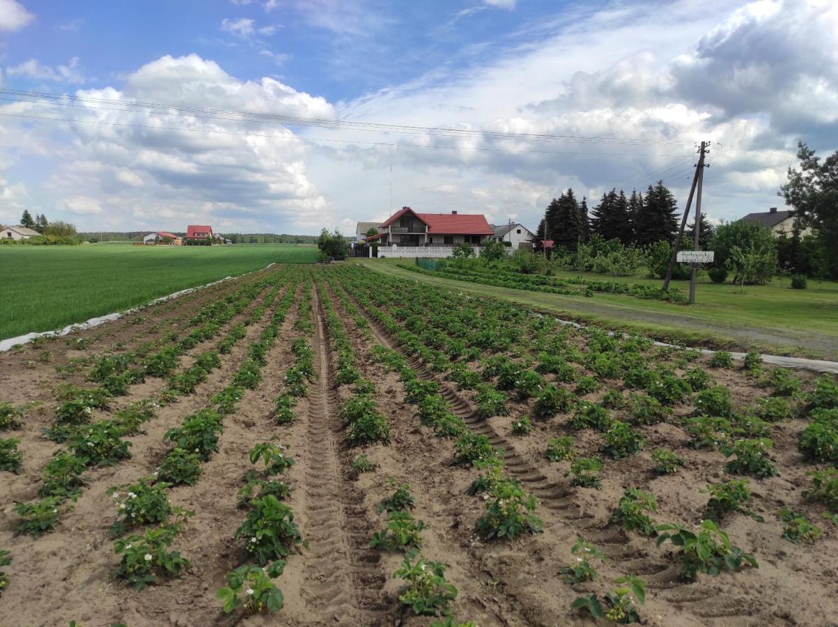 Agroturystyka Kobylnica Nad Wisla Eksteriør billede