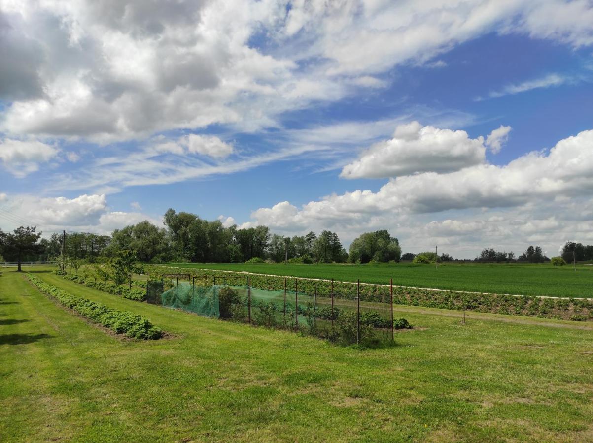 Agroturystyka Kobylnica Nad Wisla Eksteriør billede